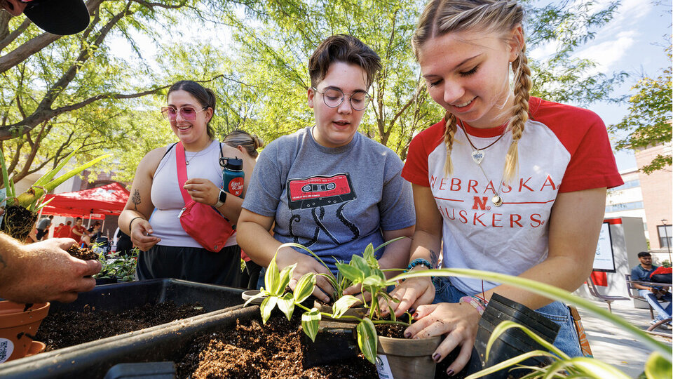 Arboretum preps houseplants for Big Red Welcome giveaway